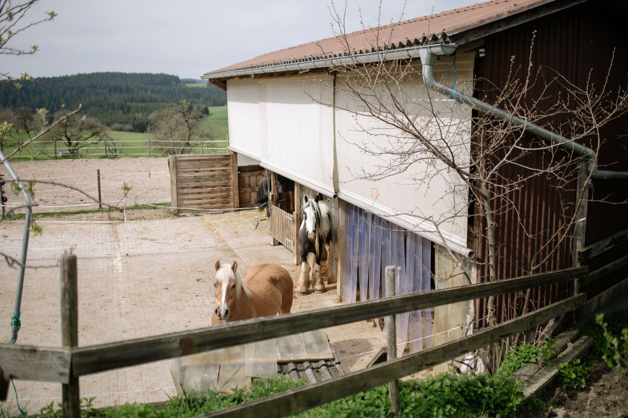 Pferdehof in der Landschaft